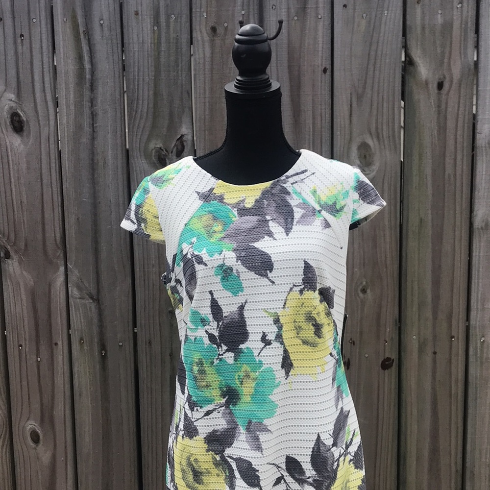NWT - Madison Leigh White Floral Dress - Size 6 - Picture 3 of 7
